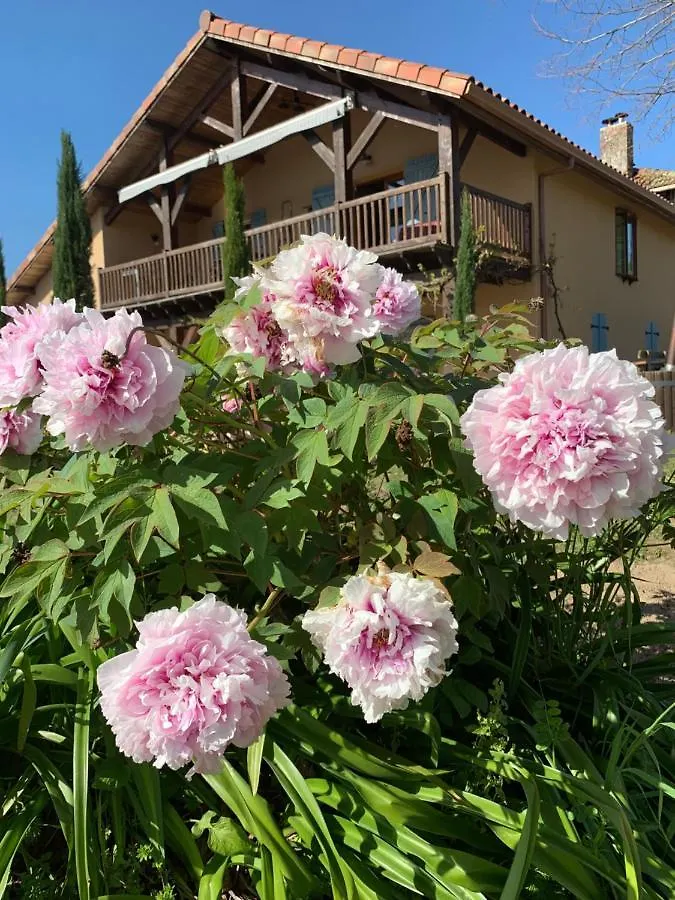 Lauberge De Nogaro Caupenne-d'Armagnac