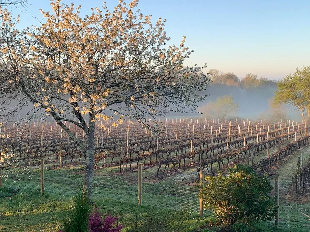 Lauberge De Nogaro Caupenne-d'Armagnac Holiday home